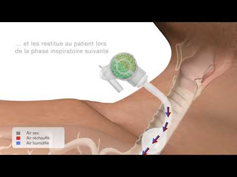 Hydro-Trach T