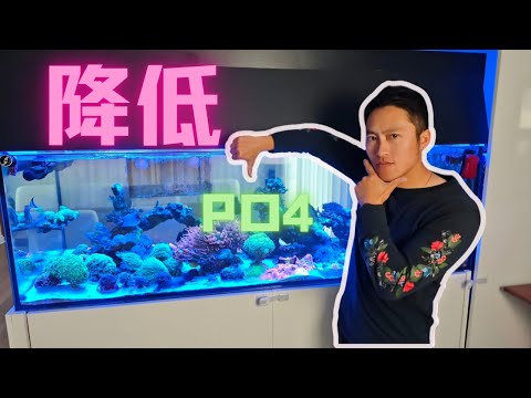 降低海缸PO4最直接有效的方法