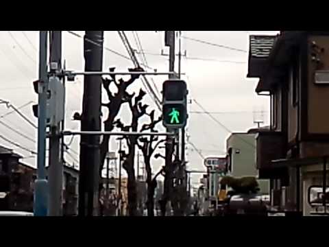 電球擬きLED歩行者信号機が坂戸市内にも現れた!!３