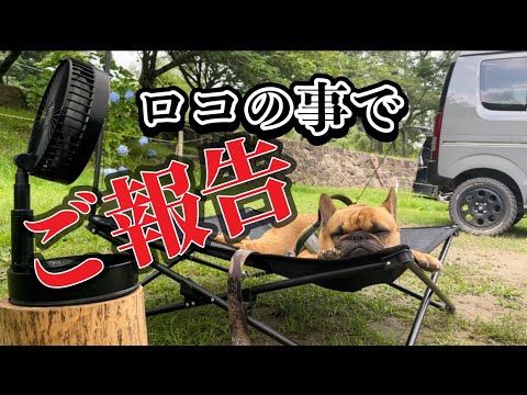 【ご報告】ロコは少しの間キャンプお休みします(一旦最後のキャンプin笠置キャンプ場)