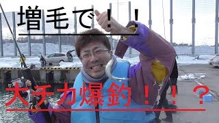 【釣り】増毛で大チカ爆釣！！？