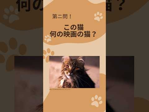 何の映画の猫かわかる？猫映画クイズ【猫の日】 #映画クイズ #映画 #おすすめ映画 #猫 #ねこ #ねこ動画 #shorts