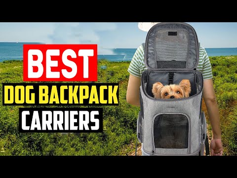 ✅ Top 5 Best Dog Backpack Carriers 2023