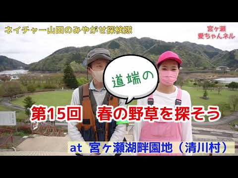 春の野草を探そうat 宮ヶ瀬湖畔園地【ネイチャー山田のみやがせ探検隊第15回 】