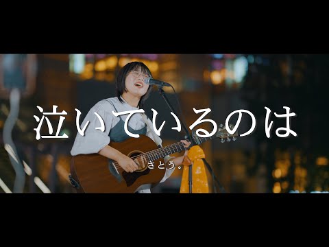 泣いているのは - さとう。 /  in 新宿路上ライブ