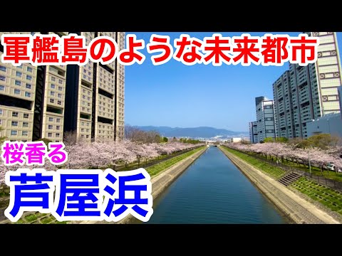 【街歩き】軍艦島のような未来都市 桜香る芦屋浜