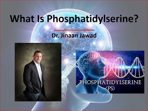 What Is Phosphatidylserine?