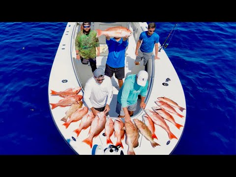 ONE STOP SHOP! FULL LIMITS IN MINUTES | RED SNAPPER GULF OF MEXICO