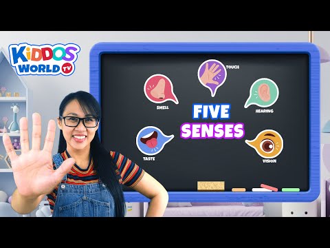 Miss V Teaches the Importance and Function of The Five Human Senses