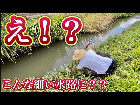 急斜面をダッシュで降りて魚を取りにいくと・・・