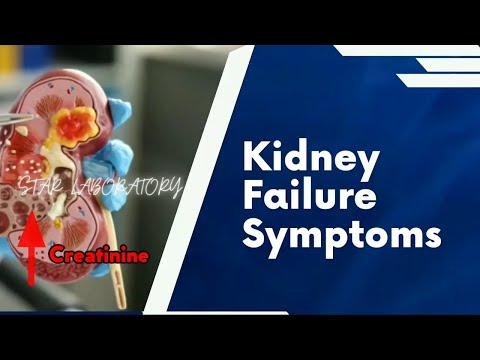 kidney pain location on body in tamil | kidney pain symptoms in tamil | kidney pain location on body