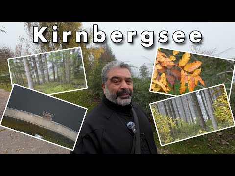 Nebel am Kirnbergsee 🌫️ | Lumix TZ81 & DJI Air 2S im Einsatz 📸