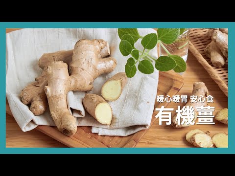 暖心暖胃 安心食．有機薑 ー【里仁有機蔬果】