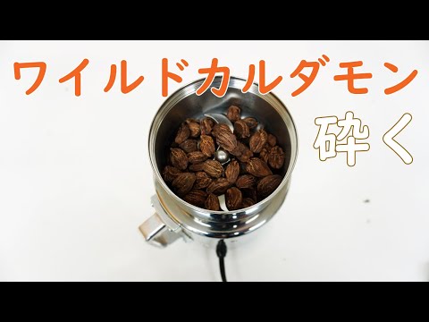 【香辛料を砕く】ワイルドカルダモンを粉砕（コナッピー）