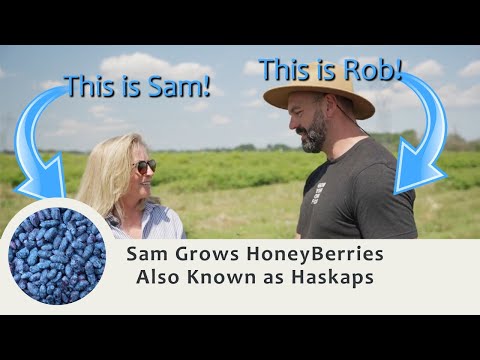 Sassy G's Sam, and her Permaculture Haskap HoneyBerries at Blas Berry Orchards