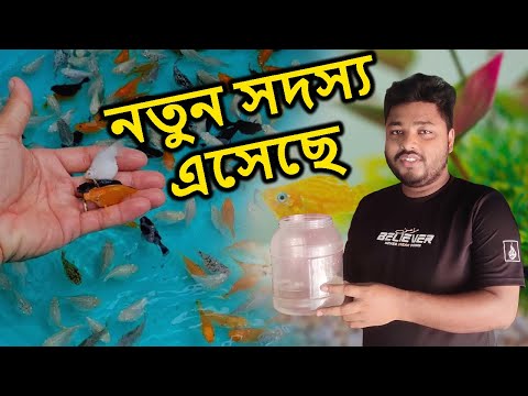 Mini Zoo তে নতুন সদস্য এসেছে | Mini Zoo has new members | Mahid Mini Zoo