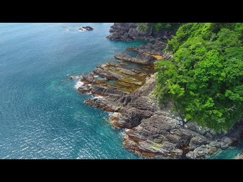 【自由飛行】南三陸 歌津南部の磯ドローン空撮①