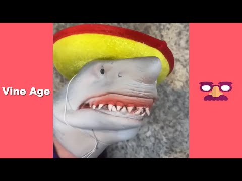 SHARK PUPPET FUNNY SKITS VIDEO | Try Not To Laugh Watching Shark Puppet Comedy