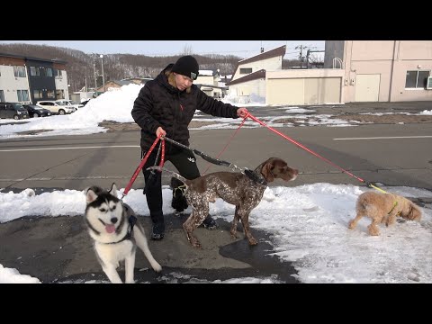 【ご報告】家族が増えました！犬の動物園です！