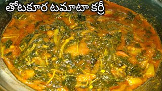 తోటకూర టమాటా కర్రీ/ Amaranth Leaves Tomato Curry/Thotakura Tomato Curry in Telugu by Bhagyamma foods