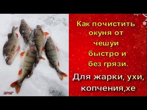 Как почистить окуня от чешуи быстро и без грязи . Для жарки, ухи, копчения, хе