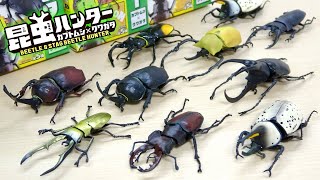 夏のお楽しみ! 昆虫ハンター カブトムシ × クワガタの新作が登場! 新しくヨーロッパ ミヤマクワガタが追加