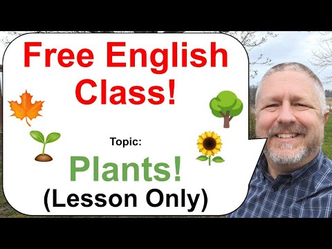 Free English Class! Topic: Plants! 🌱🌳🌻 (Lesson Only)