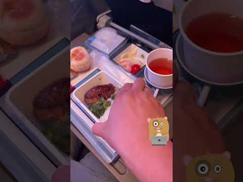 China Airlines Economy Meal