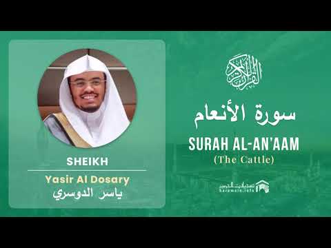 Quran 6   Surah Al An'aam سورة الأنعام   Sheikh Yasir Al Dosary - With English Translation