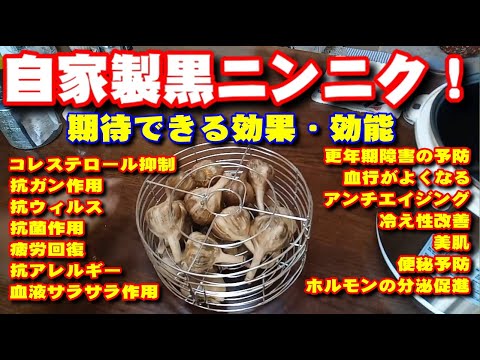 【黒ニンニク】醗酵器を購入して黒ニンニクを作りました！美味いけど食べすぎ注意！