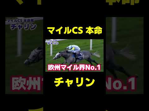 マイルCSの大本命 チャリン　#競馬 #マイルチャンピオンシップ #マイルcs