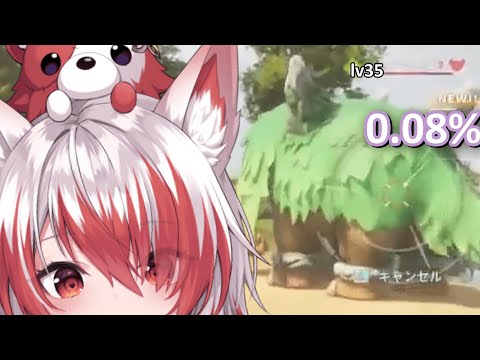 This cat has insane luck | Syusetu Kohaku Eng Subs [Palworld]