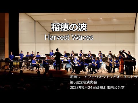 稲穂の波 / Harvest Waves