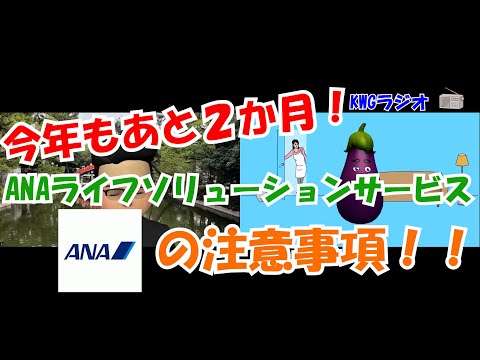 今年もあと２か月！ANAライフソリューションサービスの注意事項！！