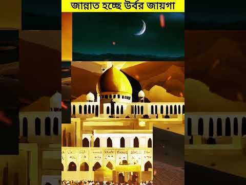 আল্লাহ আমাদের জানার বুঝার তৌফিক দান করুন। #islamic #islam #islamicvideo