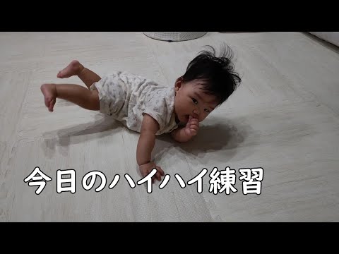 今日のハイハイ練習【199Days】