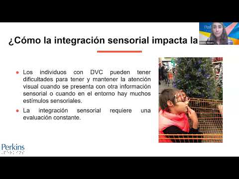 CVI - Área de Evaluación: Integración Sensorial