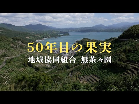 50年目の果実(地域協同組合無茶々園)