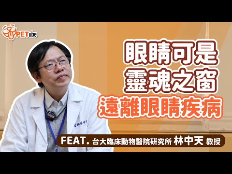 眼睛可是靈魂之窗 遠離眼睛疾病 FEAT. 台大臨床動物醫院研究所 林中天教授 【PETube小學堂】｜#哈寵PETube 第226集