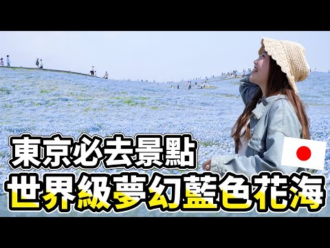 【日本自由行】東京近郊必去景點✨世界最美藍色粉蝶花海！粉蝶花冰淇淋、醬燒大干貝好好吃🤤｜交通&優惠套票介紹｜茨城縣國營常陸海濱公園（日立海濱公園）｜日本有個U1 YuiTube