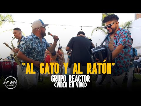 Al gato y al ratón - (En vivo) - Grupo Reactor (2024) “Pool Party Vol. 1”