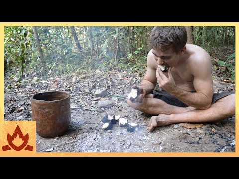 Primitive Technology: Yam, cultivate and cook