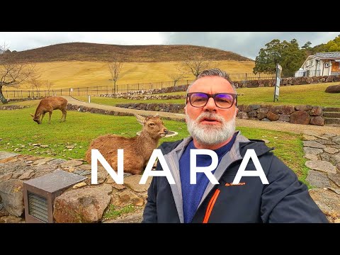 Nara - Il paese dei cerbiatti