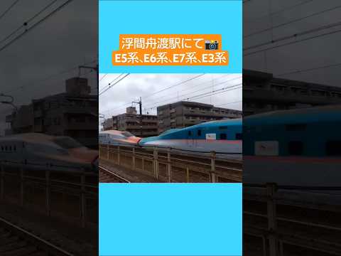 浮間舟渡駅にて📸〜E5系, E6系, E7系, E3系〜 #shorts #jr東日本 #新幹線