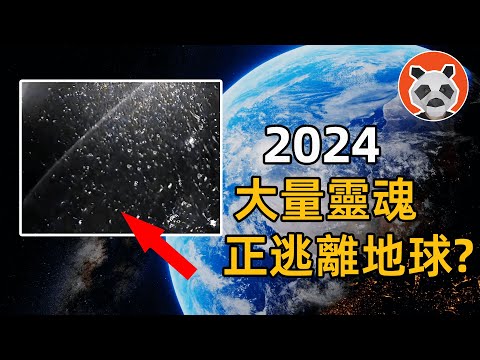 2024 大量靈魂逃離地球？矩陣失效？有大事發生？【🐼熊貓周周】