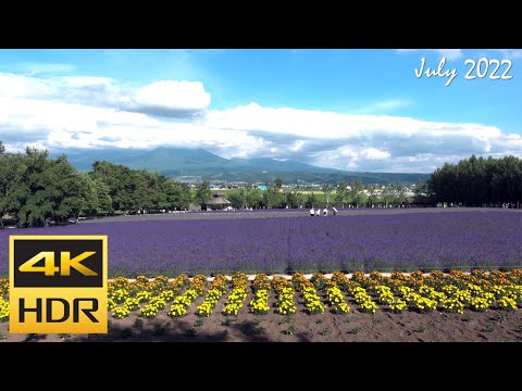 [4K HDR] 富良野 ファーム富田を散策 / Strolling around FARM TOMITA in Furano - (Hokkaido, Japan)