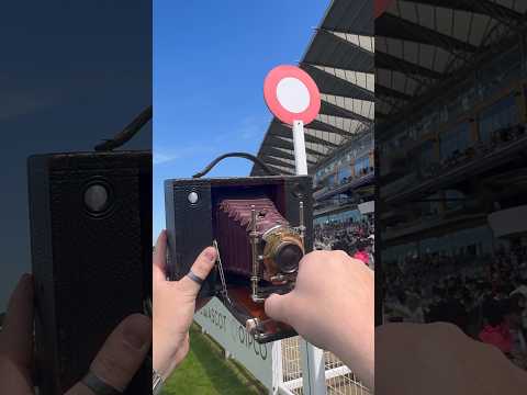 Shooting Horse Racing On A 127 Year-Old Camera 🐎🎞️ #expiredfilmclub #royalascot #filmcamera #fyp