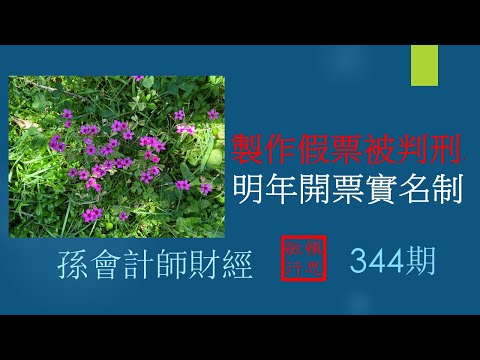 【孫會計師財經周刊】第344期 #製作假票被判刑， 明年開票實名制