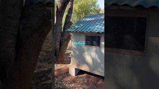 Goldie&babies get a house! #happychickens #beforeandafter