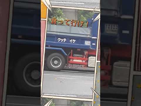 田舎のお婆ちゃんみたいなダンプカーが居た。